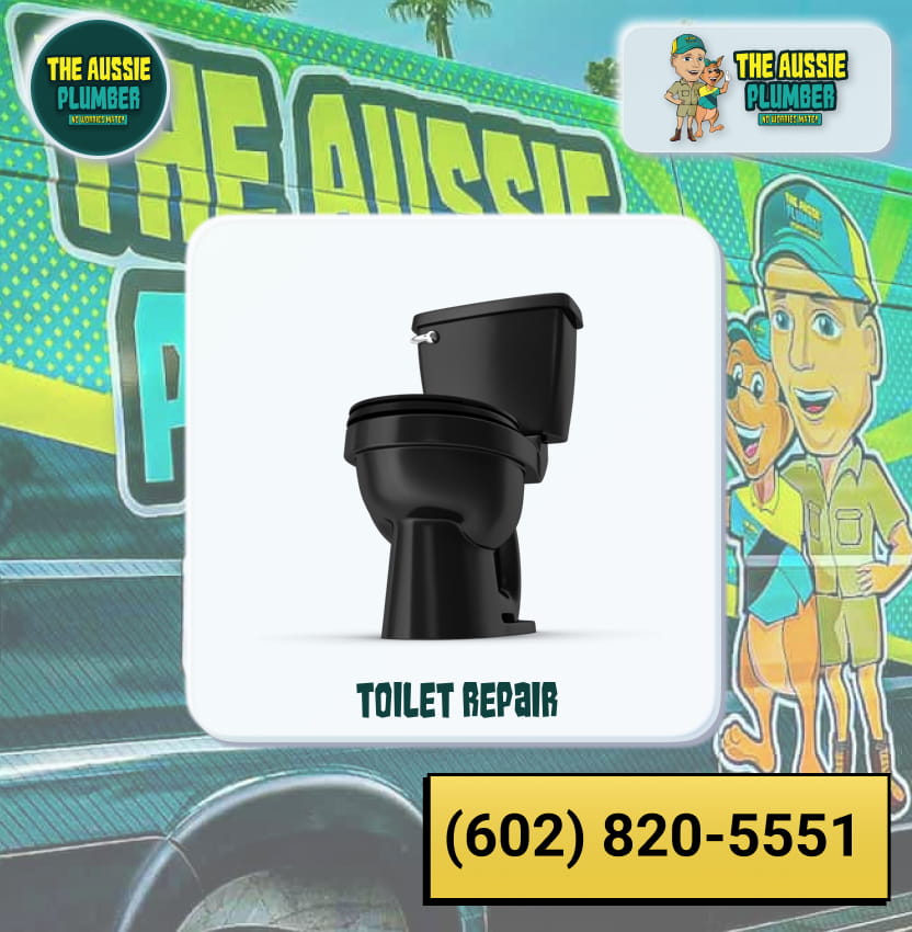 Toilet Repair The Aussie Plumber